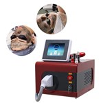 Máquina portátil de eliminación de tatuajes Nd Yag Laser Pico Laser 755 1320 1064 532nm Picosegundo